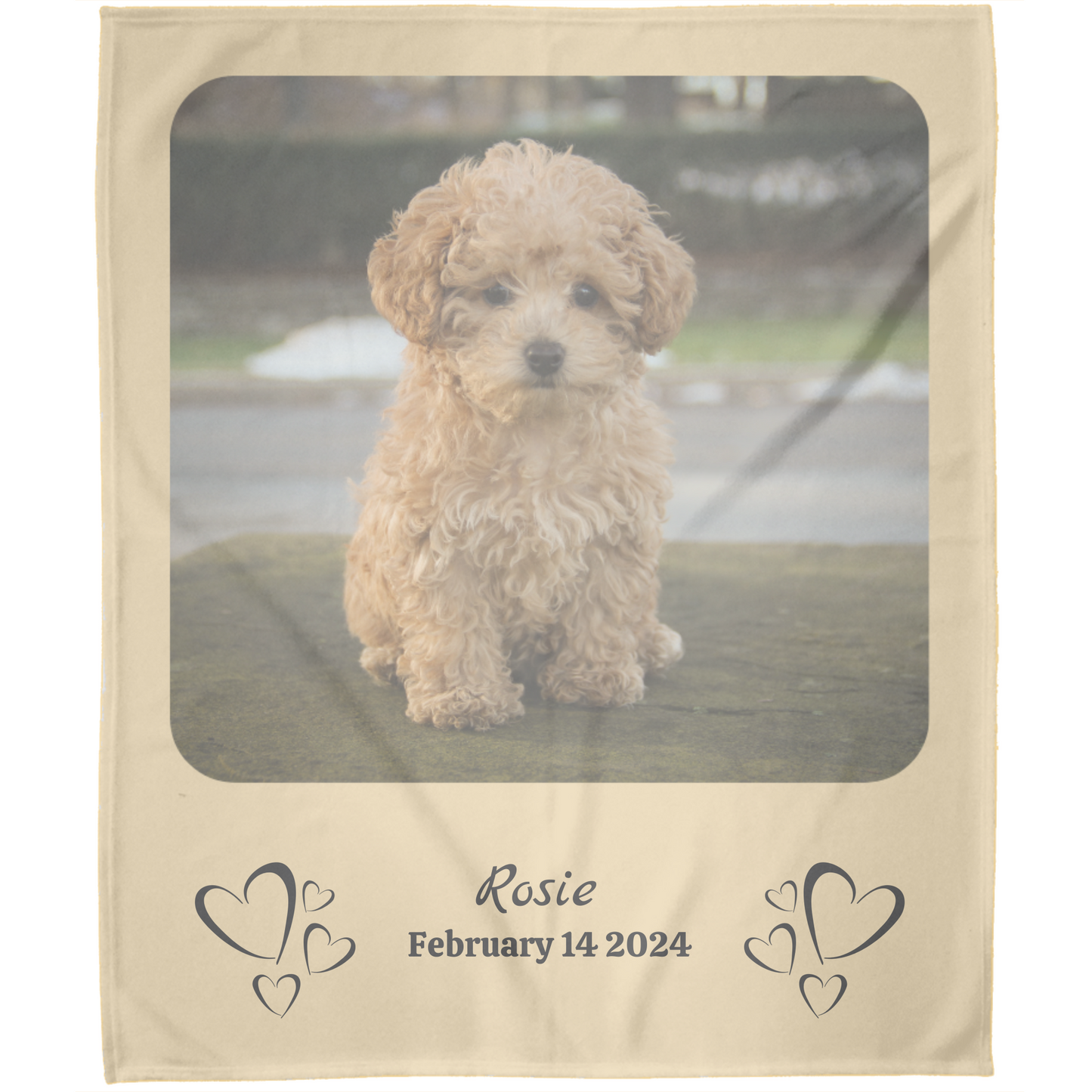 Personalized 1 Photo Memory Blanket With Text - Artic Fleece